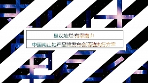 高端品牌发布会【执行版】南山十里星空发布会执行方案