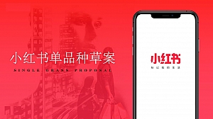 化妆品女士美妆产品护肤品小红书单品种草策划案美妆护肤种草带货