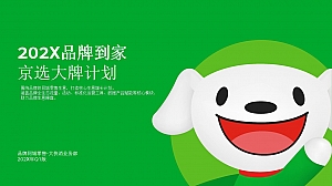 电商平台快消品品牌营销合作方案