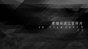 景瑞尚滨江宣传片创意方案