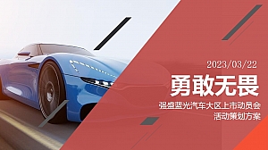 汽车品牌新车上市暨区域动员会V10