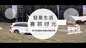 某汽车品牌年度整合营销方案【汽车】【年度】【营销】