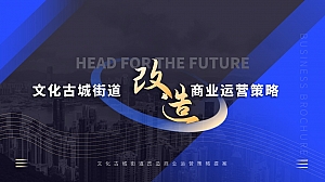 历史文化古街改造商业运营策略提案