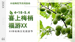 龙岩市杭梅文化旅游节活动策划