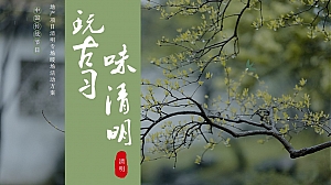 地产项目清明节“玩”古习 “味”清明活动策划方案