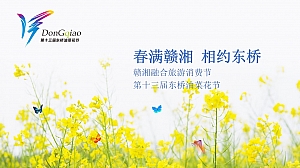 文旅景区旅游消费节暨第十三届油菜花节活动策划方案-39P