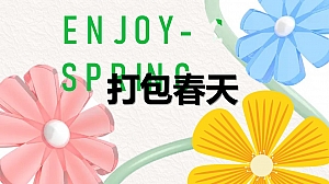 【方案】2023商业广场春季系列(打包春天主题)活动策划方案-17P