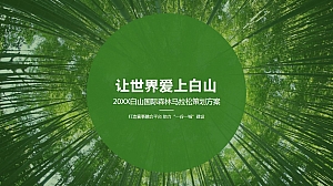 “让世界爱上白山”白山国际森林马拉松策划方案