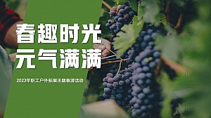 职工春游拓展团建主题活动策划方案