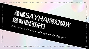首届SAYHAI梦幻极光暨有氧音乐节活动策划方案