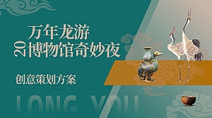 万年龙游博物馆奇妙夜创意策划方案