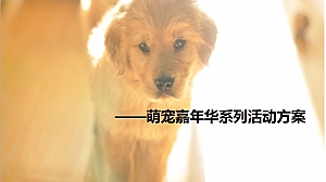 五一萌宠嘉年华系列活动方案
