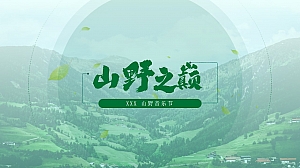 山野音乐节活动策划方案