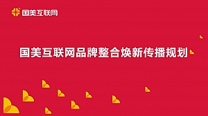 国美互联网品牌整合焕新传播规划