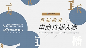 京东电商直播大赛策划全案-132P