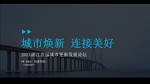 首届城市更新发展论坛活动策划方案-56P
