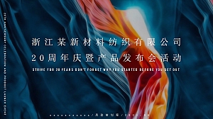 企业20周年庆暨产品发布会(贰拾正青春主题)活动策划方案-86P