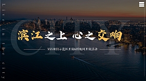滨江项目示范区开放样板间开放长江音乐会活动