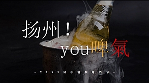 城市精酿啤酒节活动策划方案