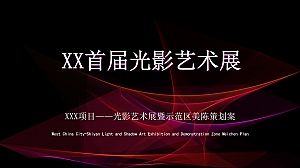 XX首届光影艺术灯光展活动方案