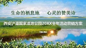 景区年度整合营销方案