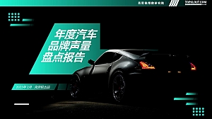 202X年度汽车品牌声量盘点报告