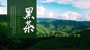 某某黑茶产业品牌推广营销方案