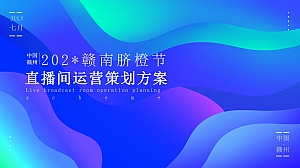 乡村振兴农产品直播间运营策划方案-产业振兴乡村振兴直播带货