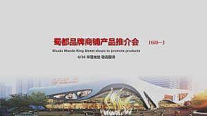 地产项目商业街综合体金街商铺产品推介会策划方案