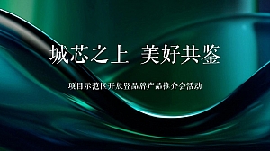 示范区开放暨产品推介会晚宴(城芯之上 美好共鉴主题)活动策划方案-49P
