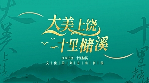 景区景点品牌策略方案文旅小镇文化定位策划全案旅游文化IP非遗