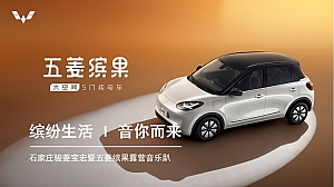 五菱缤果露营音乐趴活动方案