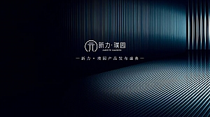 科技商业地产案名发布会活动策划方案