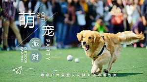 萌宠户外露营交友派对活动策划案