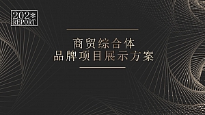 酒吧商业计划商贸综合体项目展示