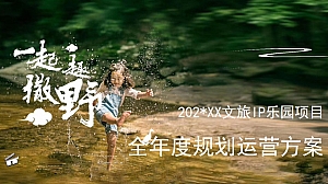 文旅IP乐园项目全年度运营规划方案