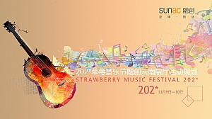 草莓音乐节融创云南展厅活动策划案