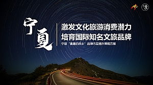 宁夏“星星的故乡”品牌内容提升策略方案