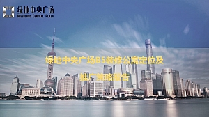 【公寓】绿地中央广场B5公寓定位及推广策略报告
