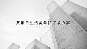 某项目生活美学馆开放活动x