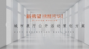 创新商业地产示范区开放活动策划方案