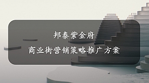 邦泰商业街整盘策略营销报告