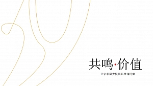 北京朝阳大悦城新媒体宣传策划案