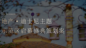 地产迪士尼主题示范区开放活动策划案