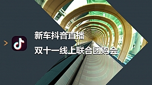 汽车新车线上直播联合团购会执行方案
