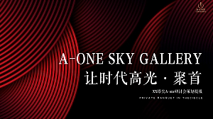 地产项目塔尖私宴研讨会策划提报