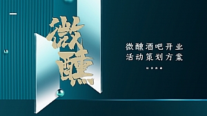酒吧开业活动方案、线上视频脚本、微醺