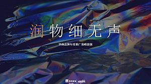 华润品牌年度推广策略提报