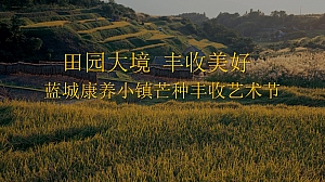 蓝城中医药田园康养小镇活动思路案