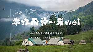 企业夏日露营团建(率性而为主题)活动策划方案P